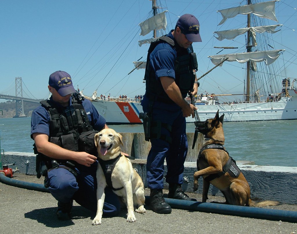 Maritime safety group: A Smart Step for Global Shipping