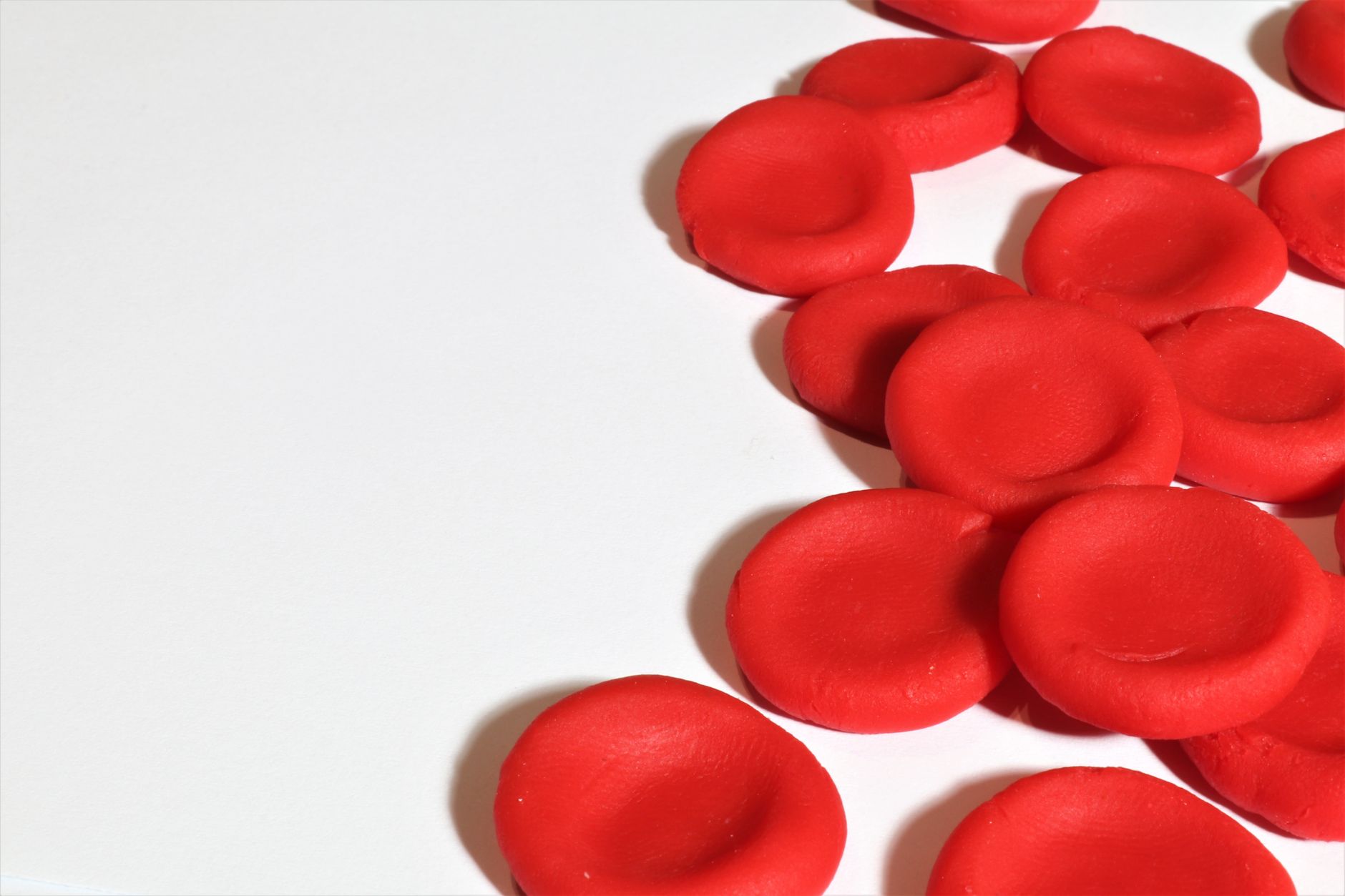 Blood Cells Brain Stem Cells: Proven Path to Youth