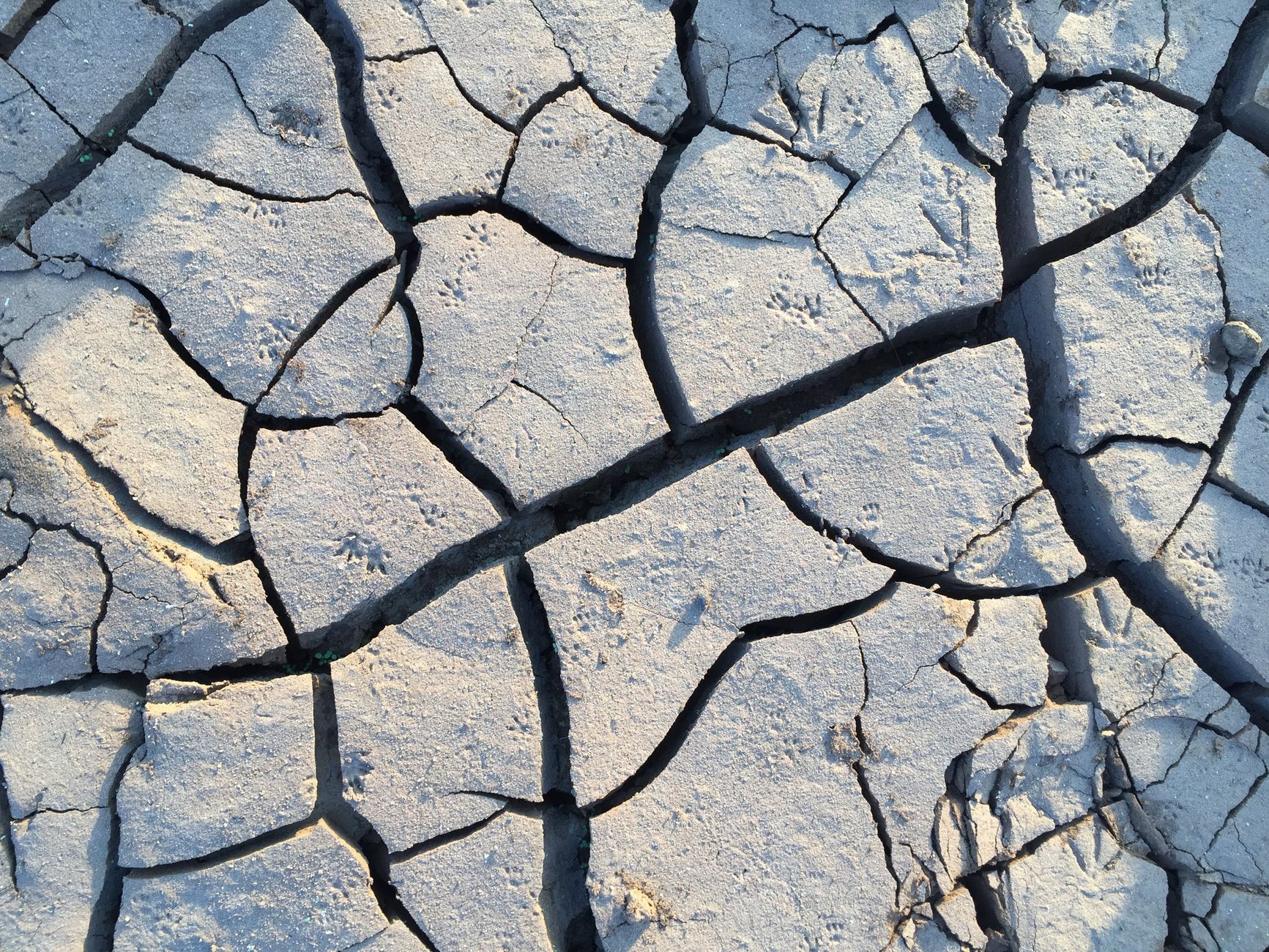 Maharashtra drought affected: Worst damage assessment report